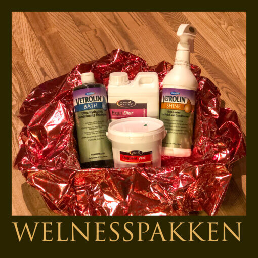 WELNESSPAKKEN - Adventskalender